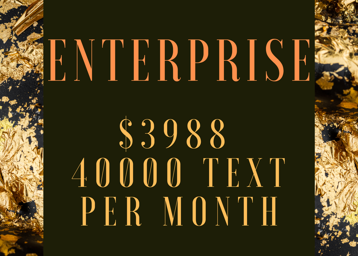 Enterprise ~ 40K text per month